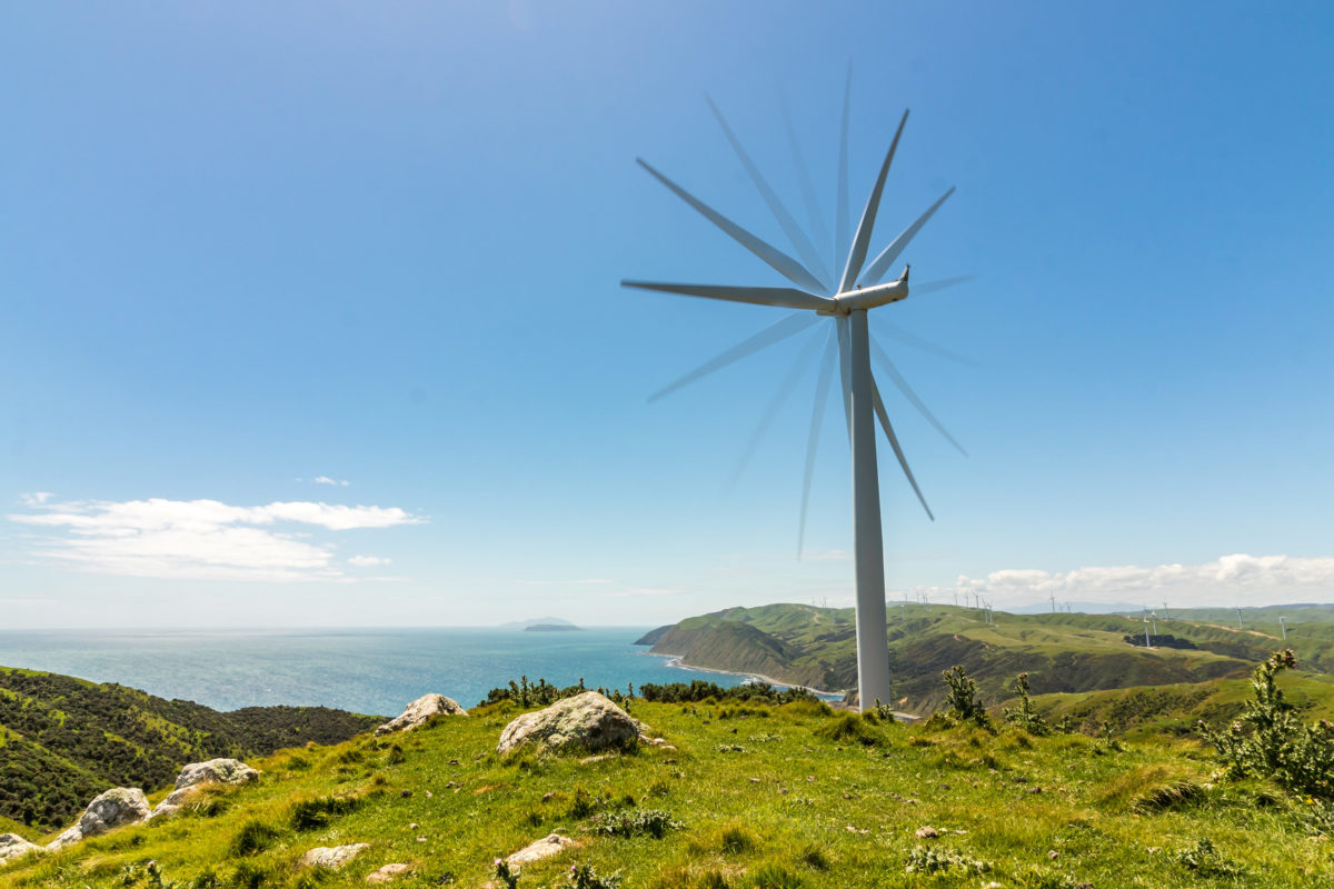 green new zealand climate talks by green business hq