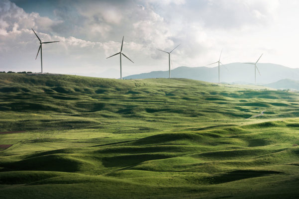 carbon zero act what does it mean for businesses news article on greenbusinesshq by carolyn cox sustainability consultant